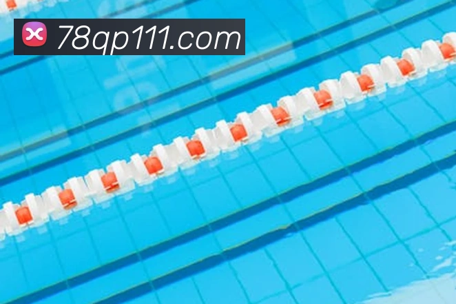 8868APP 封面图